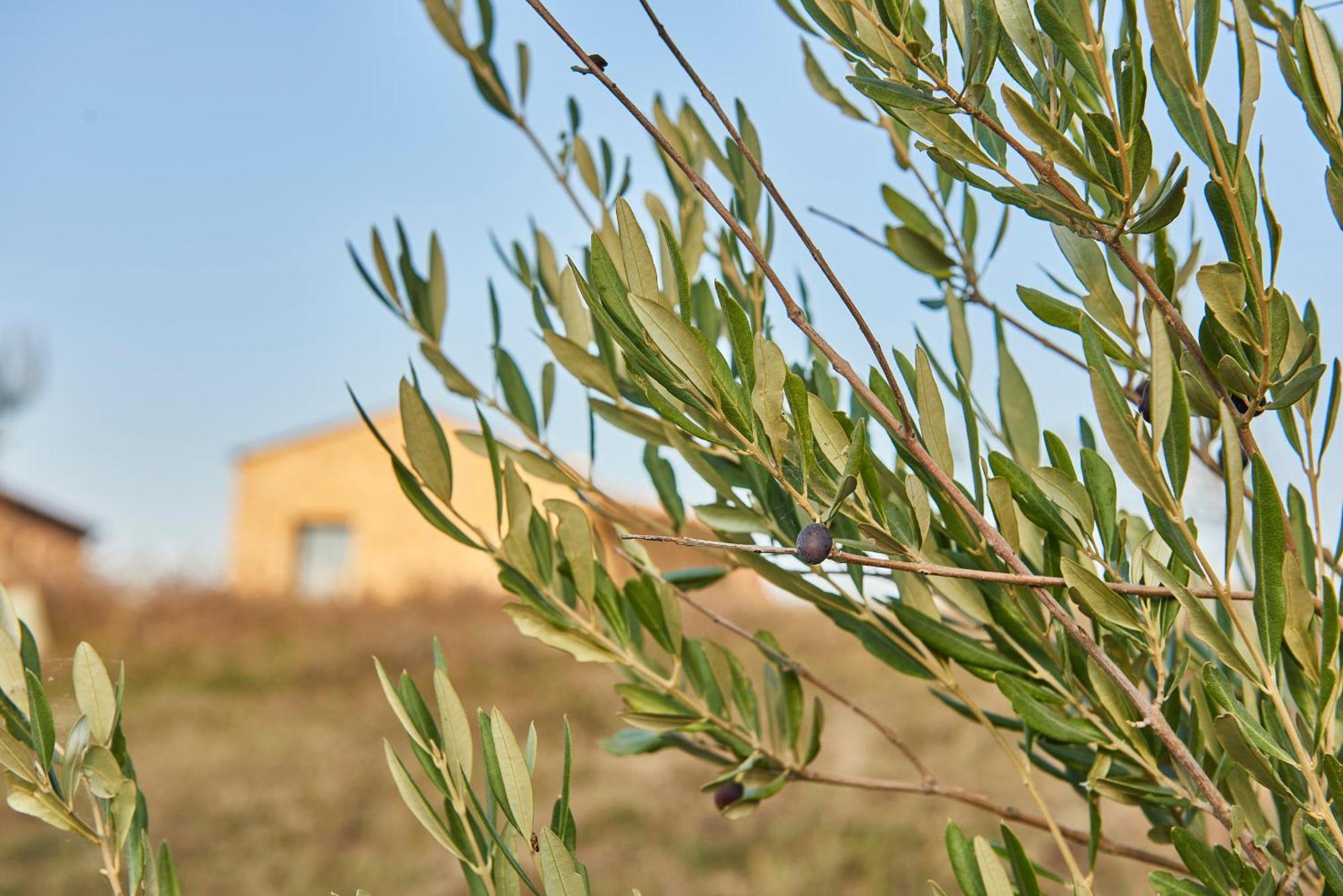 Agriturismo Prato Del Re Prignano sulla Secchia Ngoại thất bức ảnh