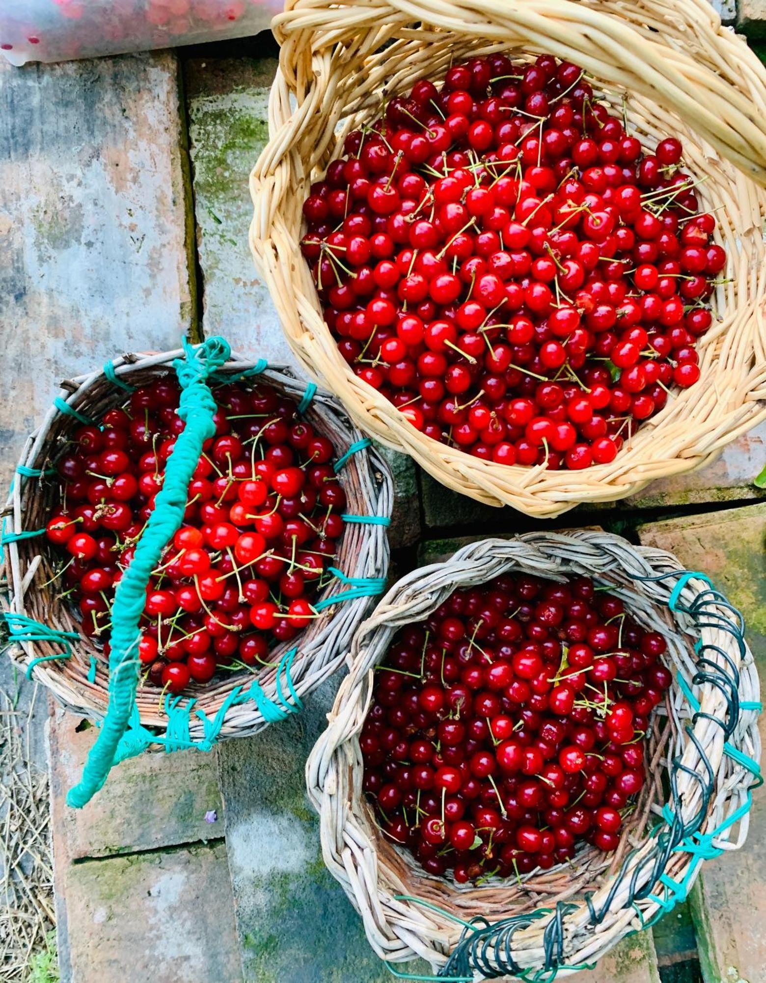 Agriturismo Prato Del Re Prignano sulla Secchia Ngoại thất bức ảnh