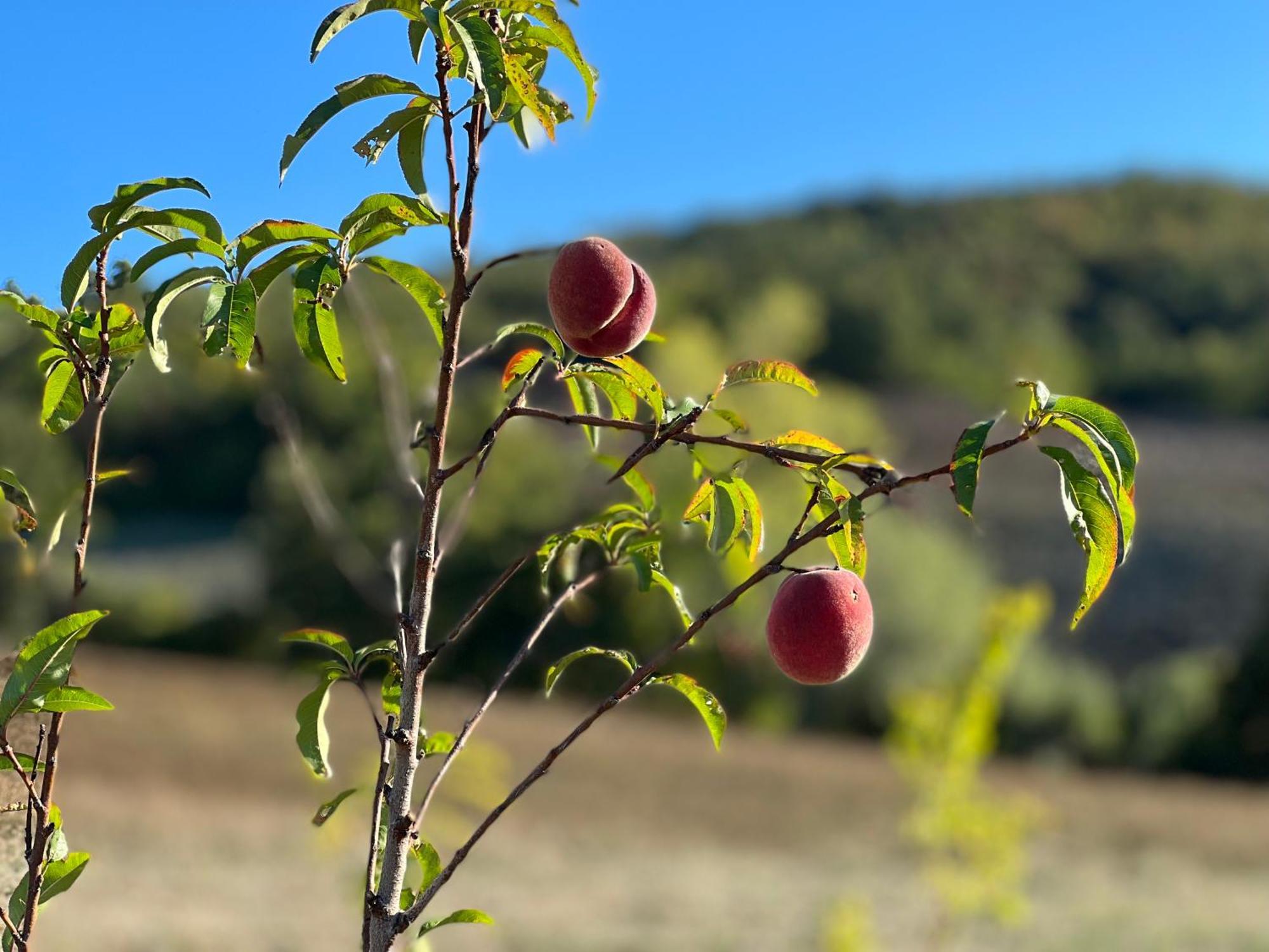 Agriturismo Prato Del Re Prignano sulla Secchia Ngoại thất bức ảnh